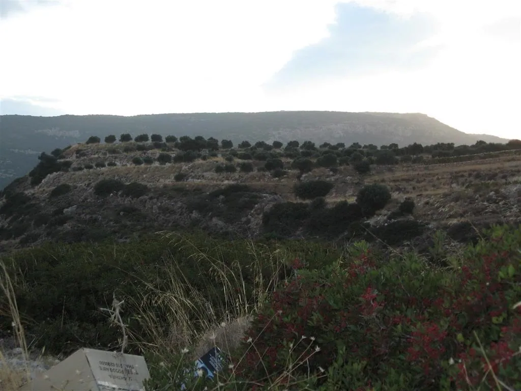 Sisi crete 080